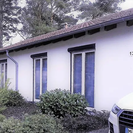 Semesterbostad Pinus Lenz